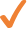 orange checkmark
